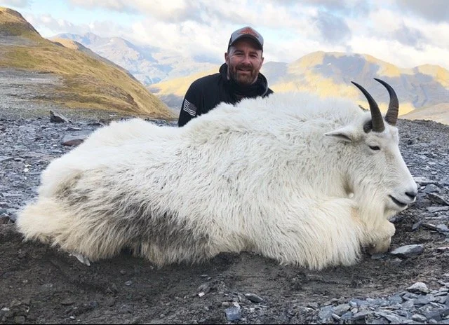 Hunter kneeling behind a large, Kodiak mountain goat. Guided by Jason Bunch of Kodiak Backcountry Adventures.  Backpack Kodiak Mountain Goat Hunt.