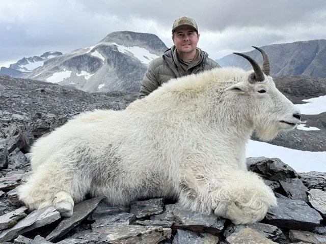 Kodiak Mountain Goat. Guided by Jason Bunch of Kodiak Backcountry Adventures