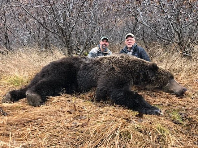 Two men kneeling behind a large, dead bear lying on a grassy field with leafless trees in the background. Kodiak Brown Bear Hunt guided by Jason Bunch of Kodiak Backcountry Adventures, LLC in remote Kodiak Island Alaska
