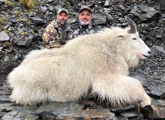 Successful Mountain Goat Hunt in Kodiak Alaska
