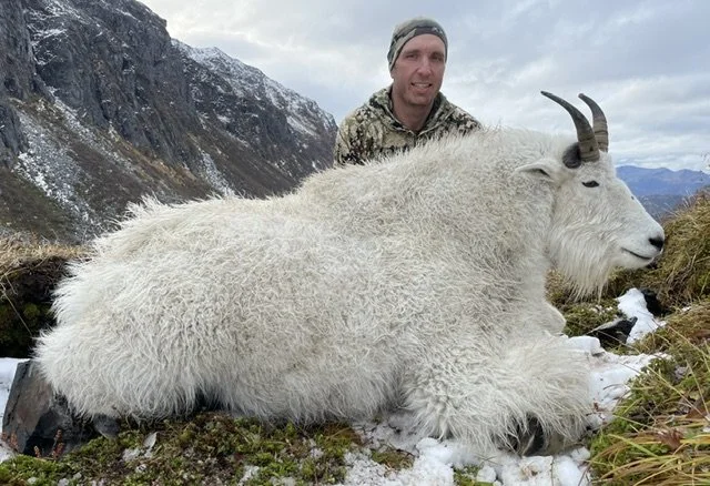 Successful hunter kneeling behind a large, Kodiak mountain goat. Guided by Jason Bunch of Kodiak Backcountry Adventures.  Backpack Kodiak Mountain Goat Hunt.