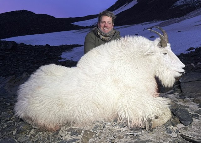 Happy client kneeling behind a large, Kodiak mountain goat. Guided by Jason Bunch of Kodiak Backcountry Adventures.  Backpack Kodiak Mountain Goat Hunt.