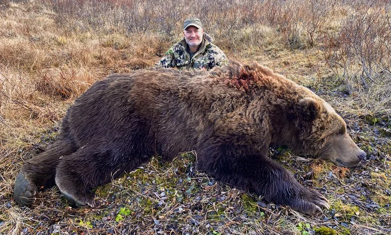 Kodiak Brown Bear. Kodiak Backcountry Adventures