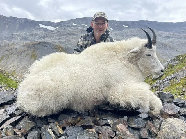 Trophy Mountain Goat in the backcountry of Kodiak Alaska.