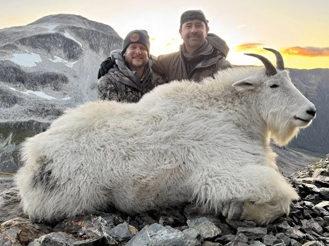 Kodiak mountain goat. Guided by Jason Bunch of Kodiak Backcountry Adventures. Backpack Kodiak Mountain Goat Hunt.