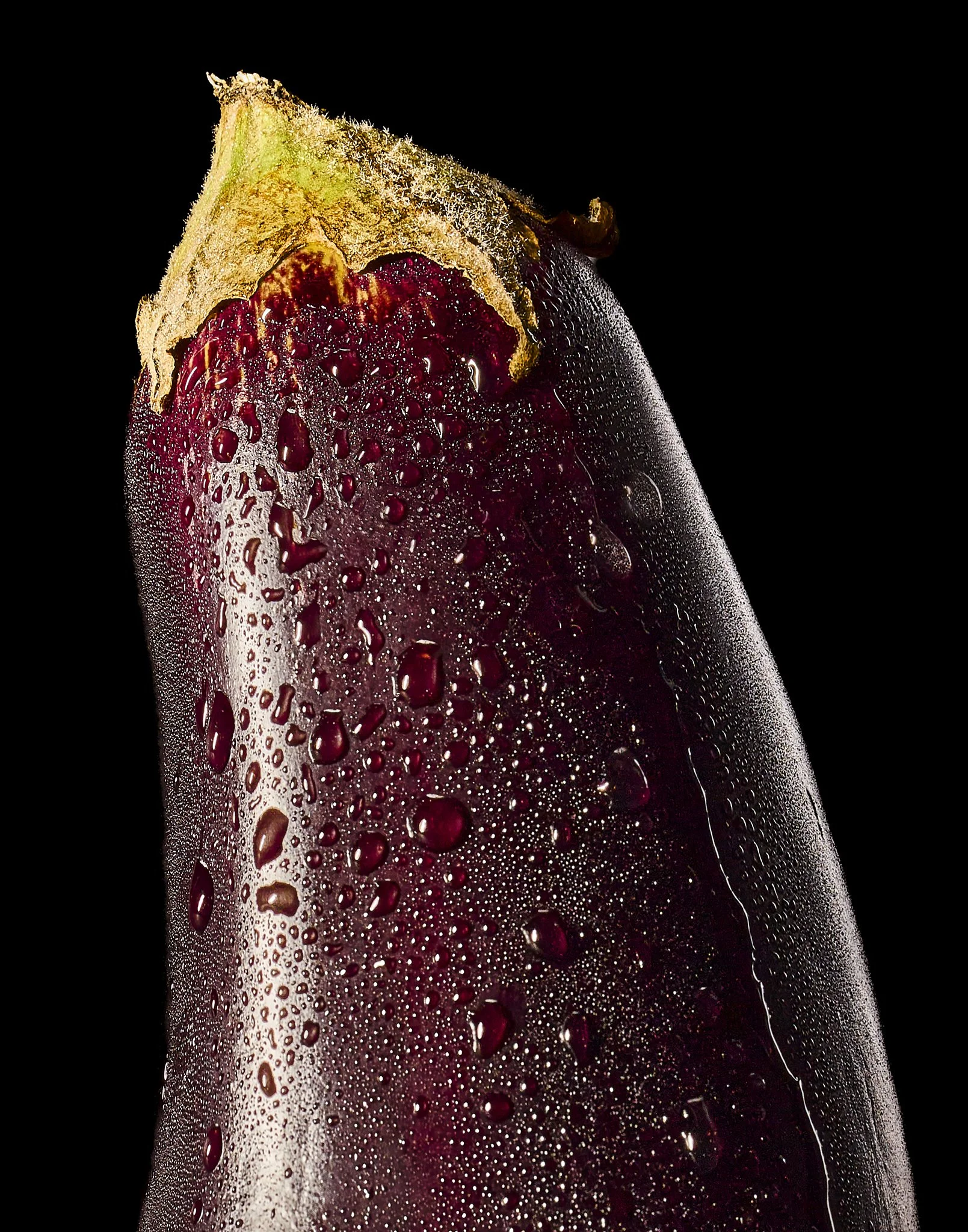 EliTykeson_237 30.jpg