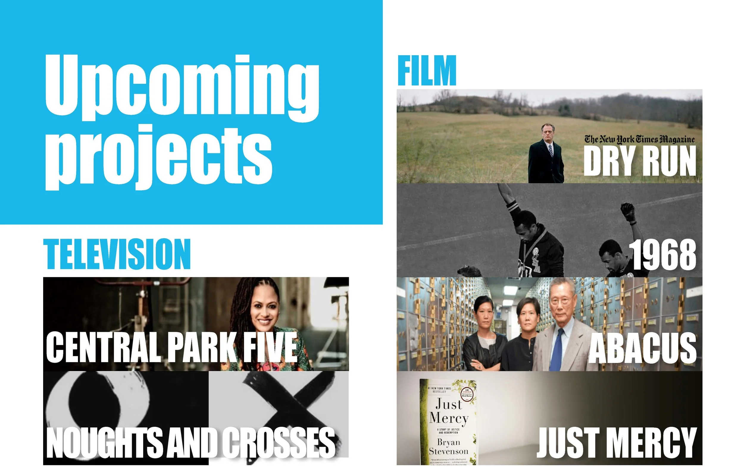 Participant Media Agency Pitch Deck BLUE newer v7plus_Page_14.jpg