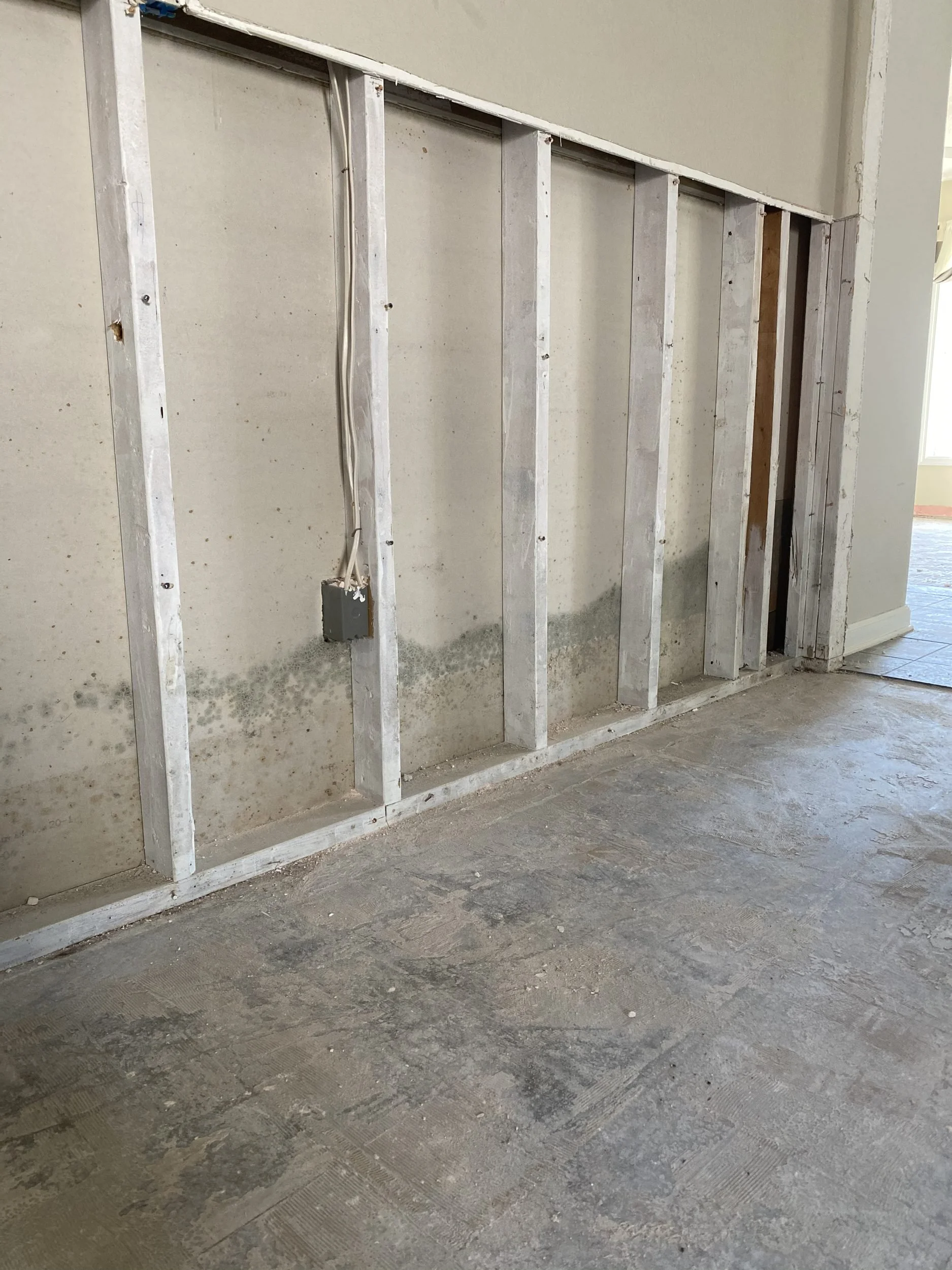 Flood cut drywall removed to dry wall cavities after water damage