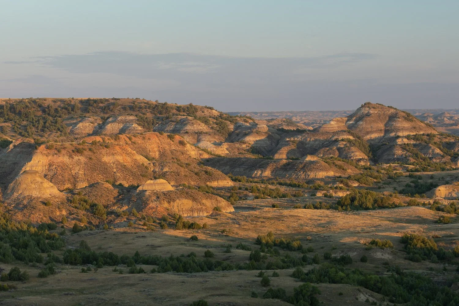 Northbound Through the Plains