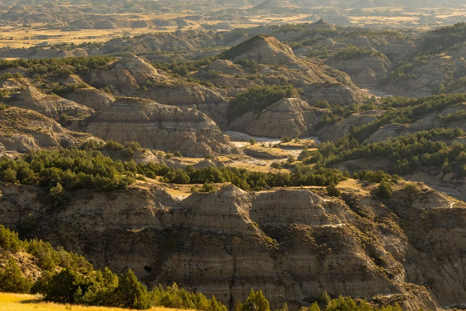 Golden-hour view of the rugged natl park, with layered rock formations, deep ravines, and scattered green shrubs stretching into the distance.