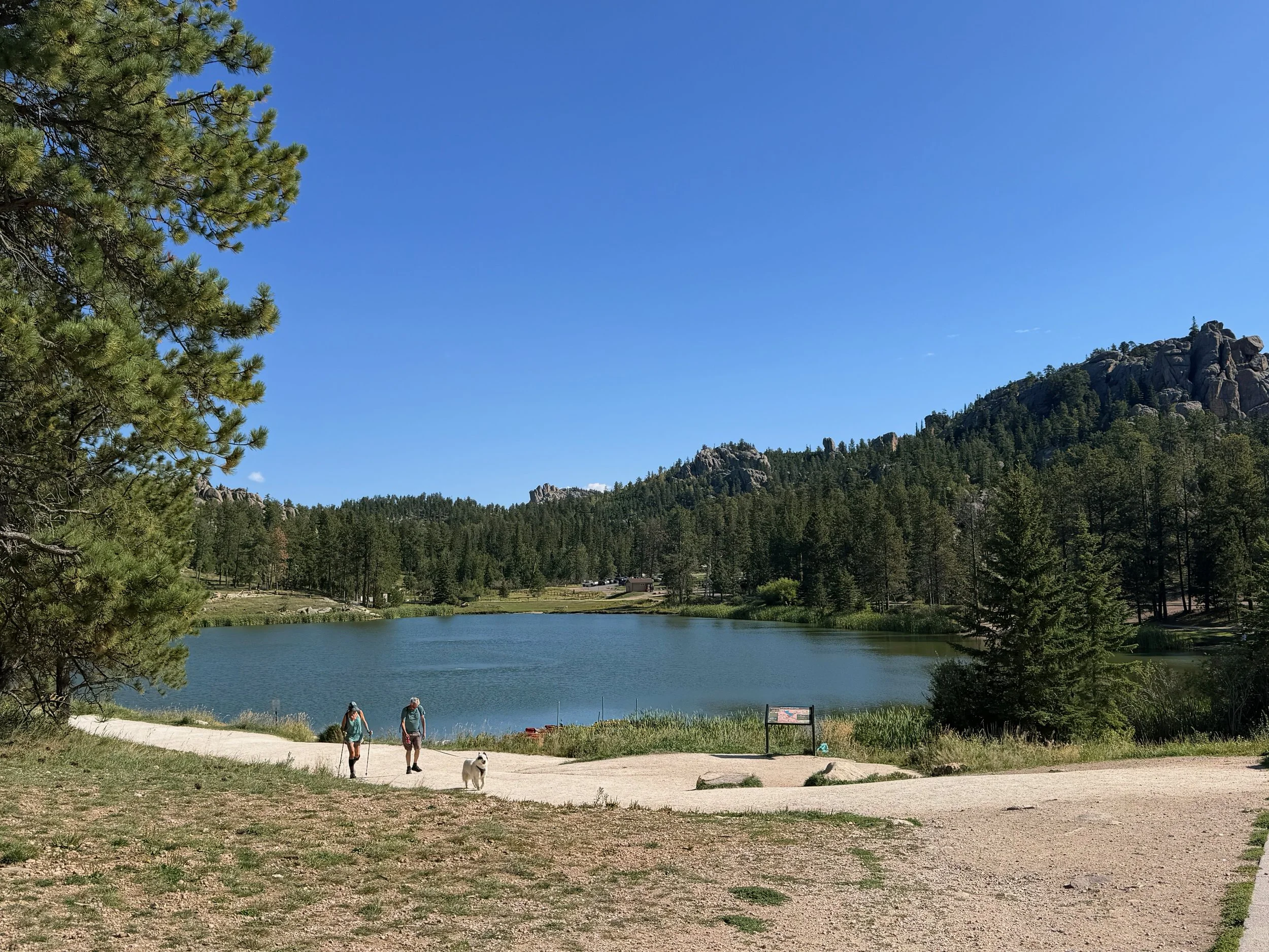 Sylvan Lake surrounded by pine-covered hills and granite formations under a clear blue sky.