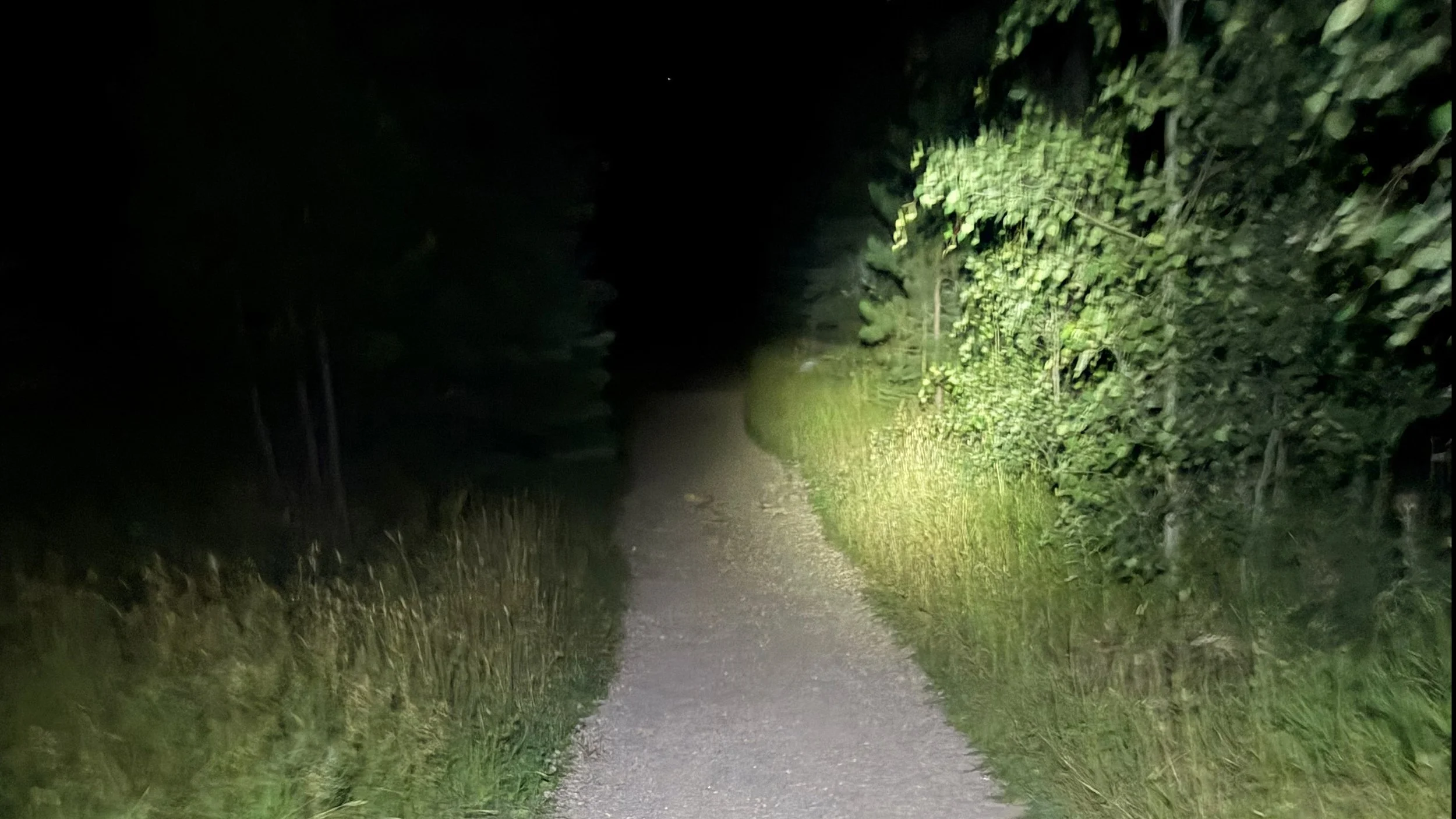 A gravel trail lit by a headlamp leads into a pitch-black tunnel of trees before dawn on Trail #9 to Black Elk Peak in South Dakota's Black Hills.