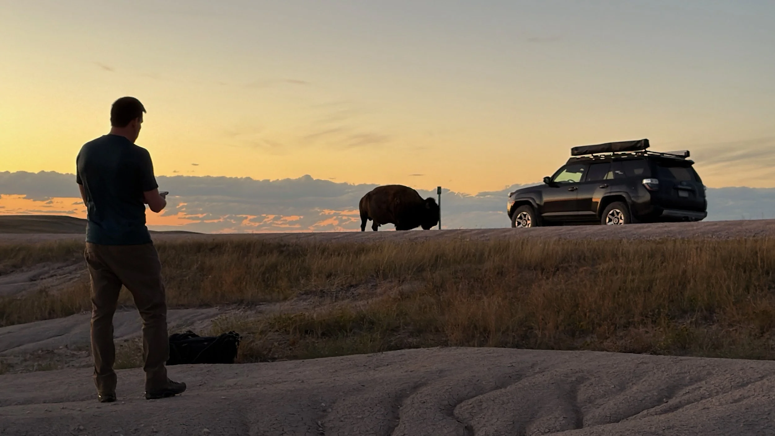 A photographer watching a bison graze beside his SUV at sunset.
