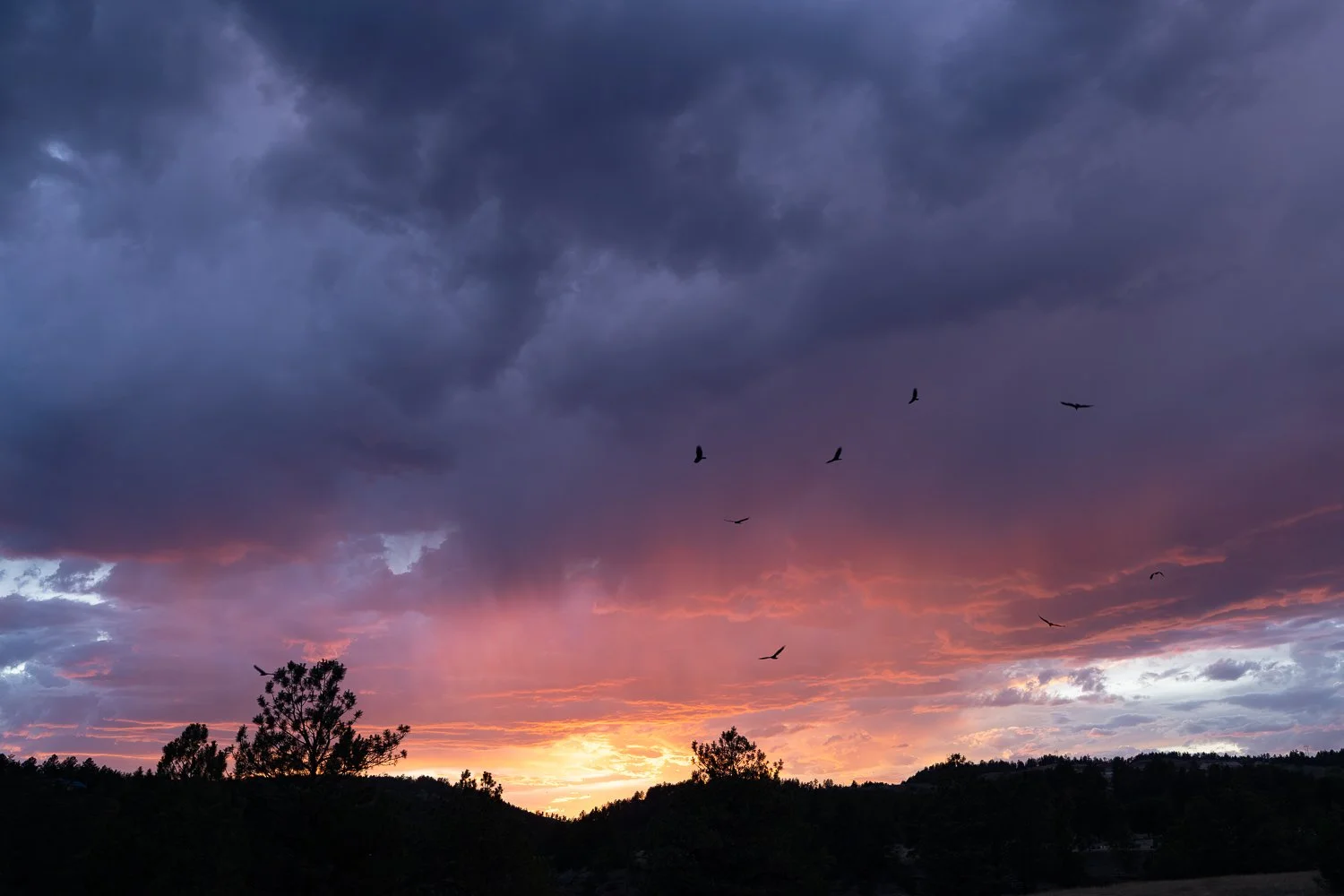 The setting sun shines through storm clouds above dark pine-covered hills and an open field.