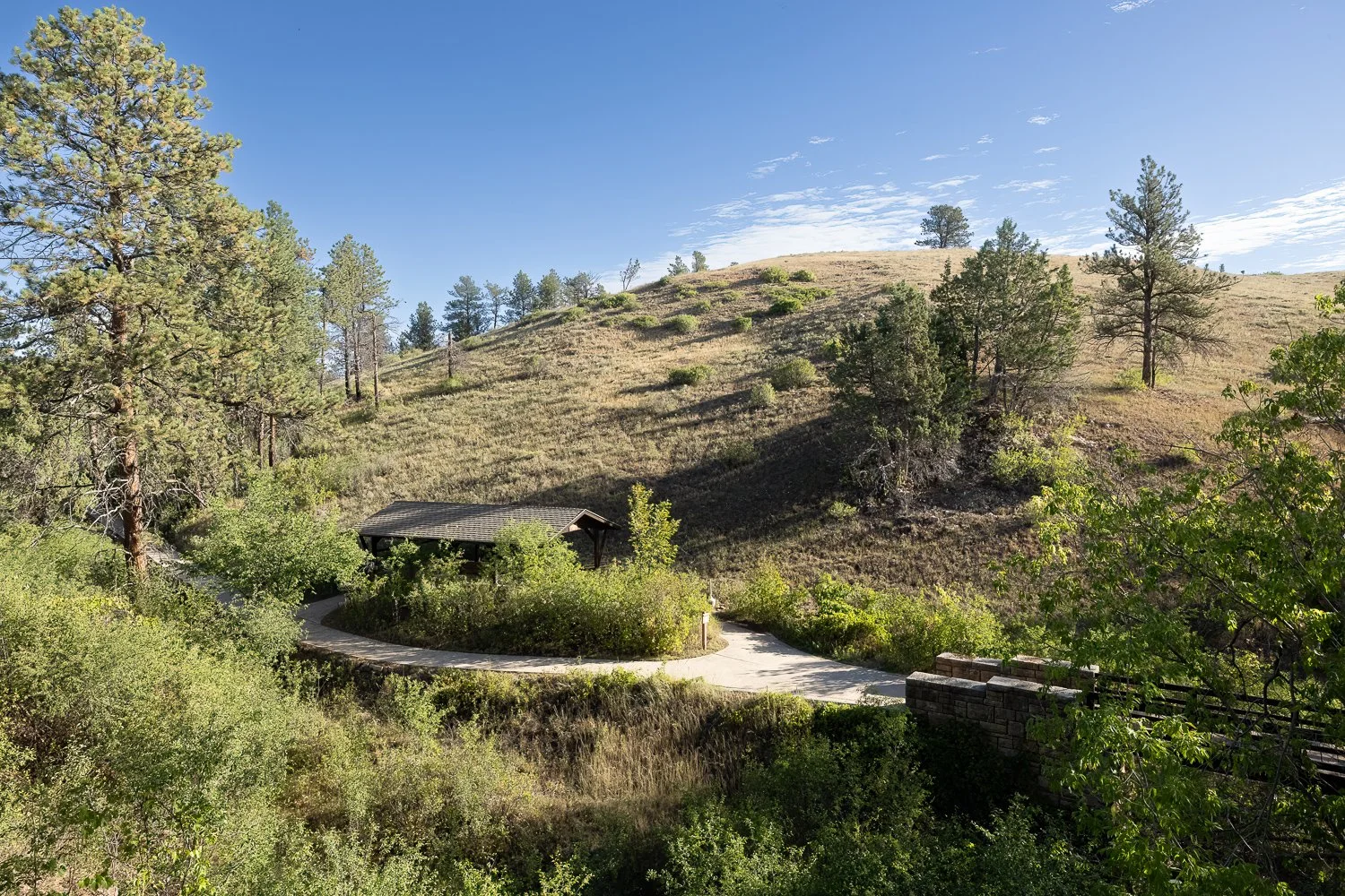A hillside covered in pine trees and grass above a shaded walking path and pavilion.