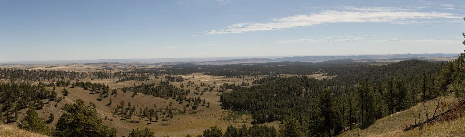 Panoramic view of rolling grasslands, pine forests, and distant hills from Rankin Ridge.