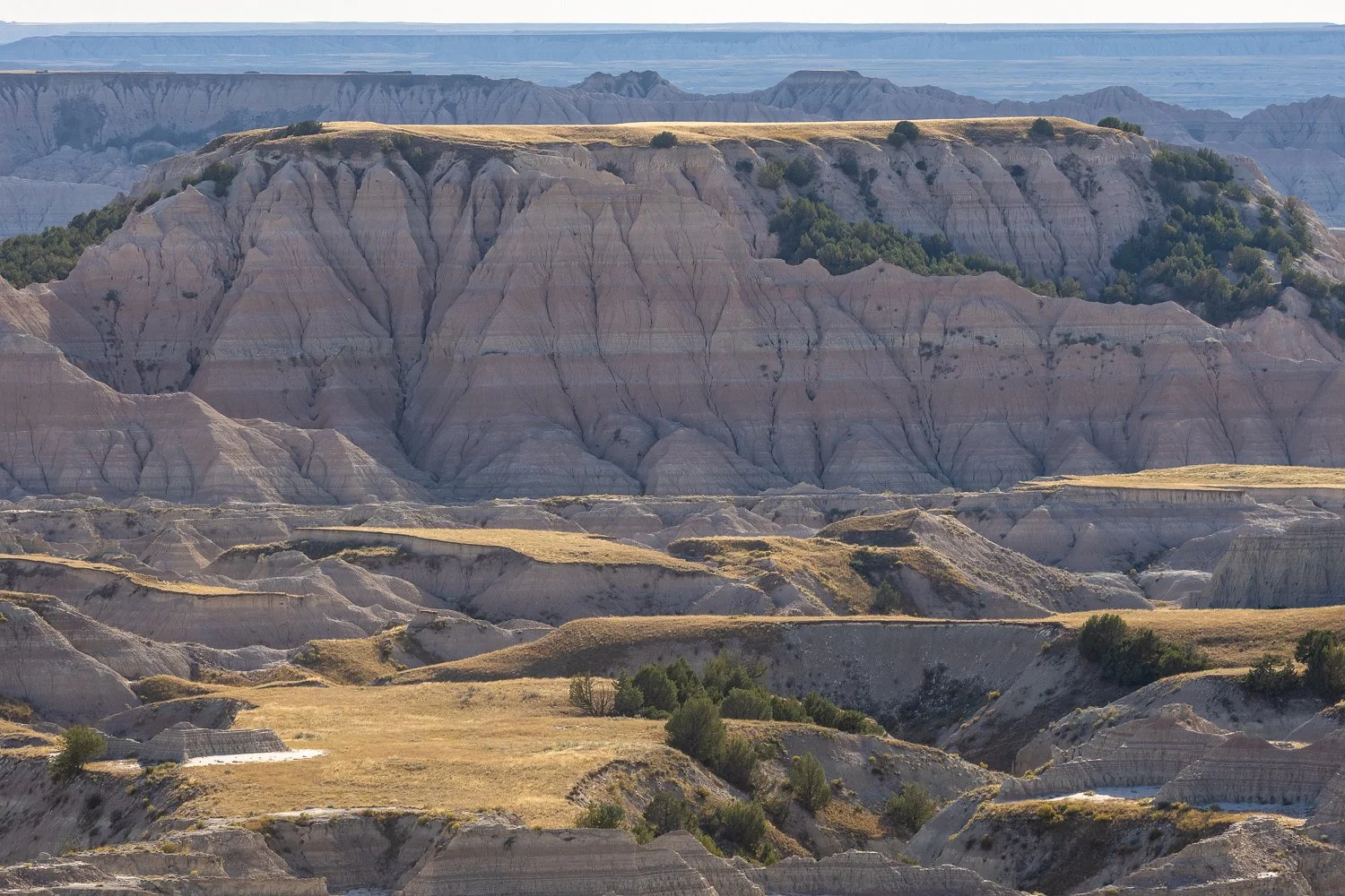 Striped Badlands Hay Butte Overlook topped with golden grass and green junipers along Sage Creek Rim Road.