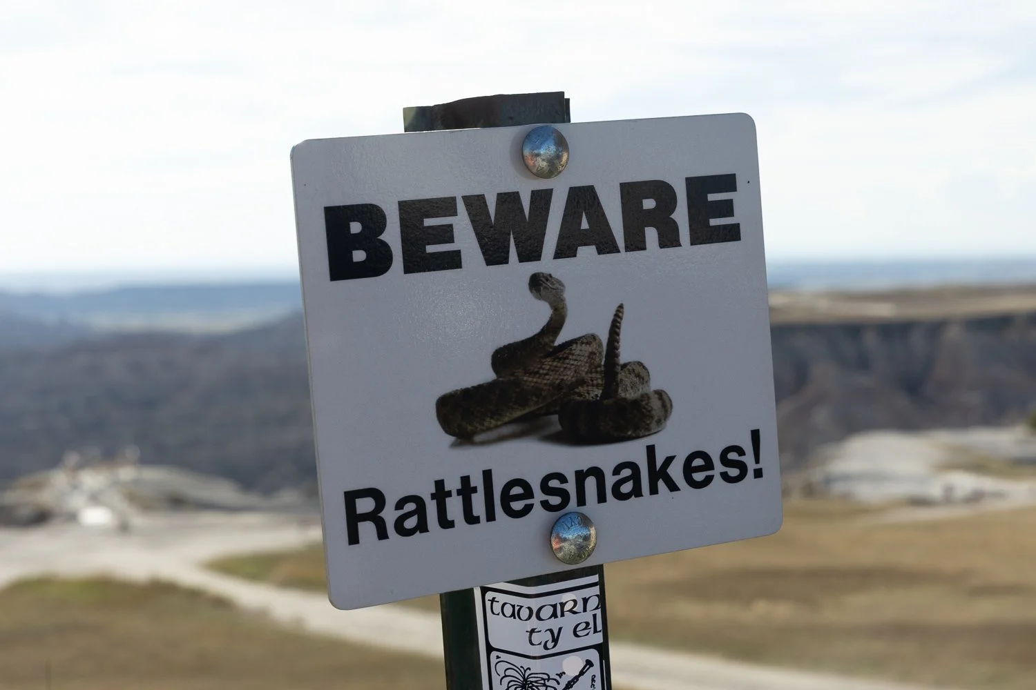 "Beware Rattlesnakes!" sign at Pinnacles Overlook with the Badlands formations behind it.