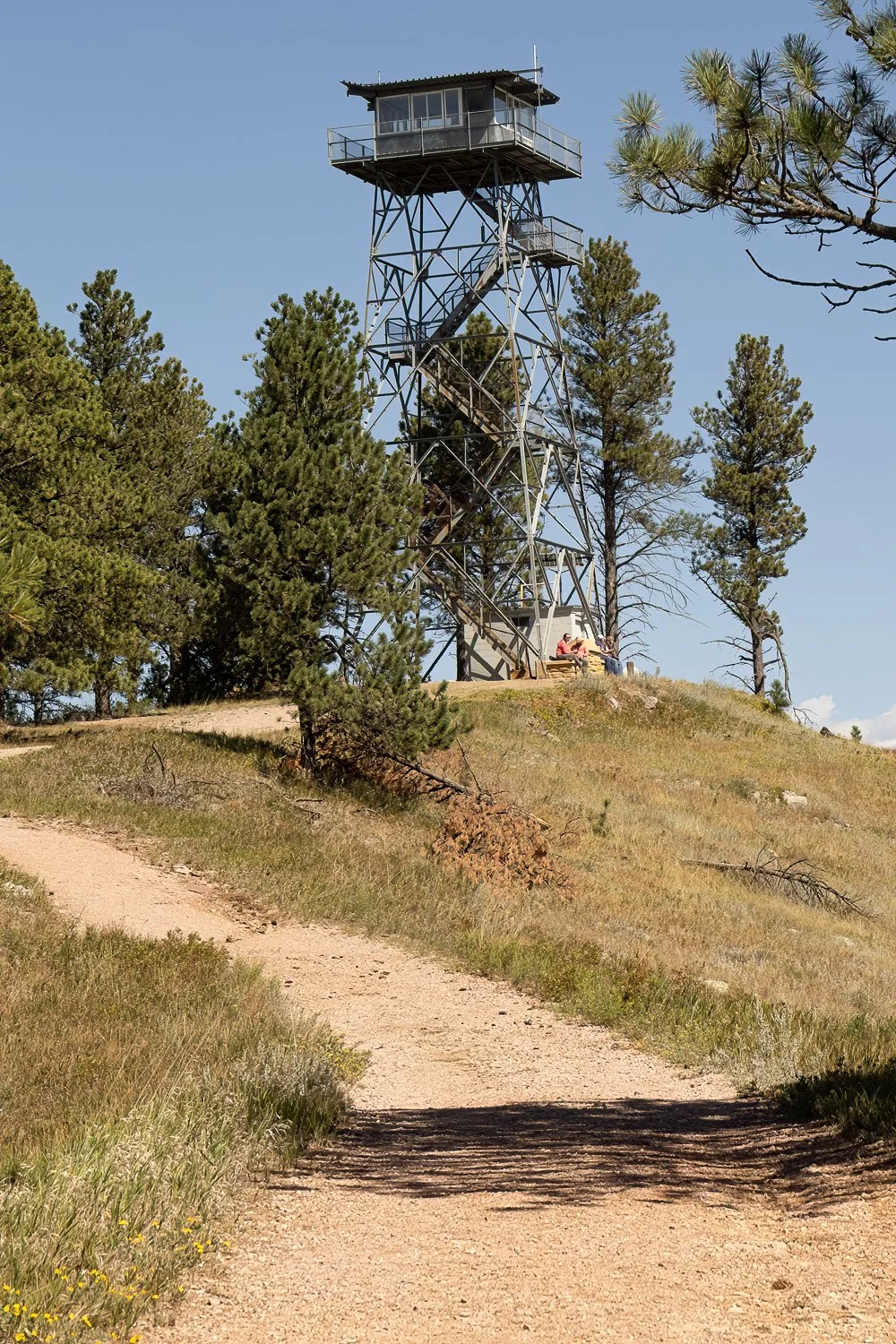 Rankin Ridge Fire Lookout Tower above a dirt trail surrounded by pine trees and grass-covered hills.