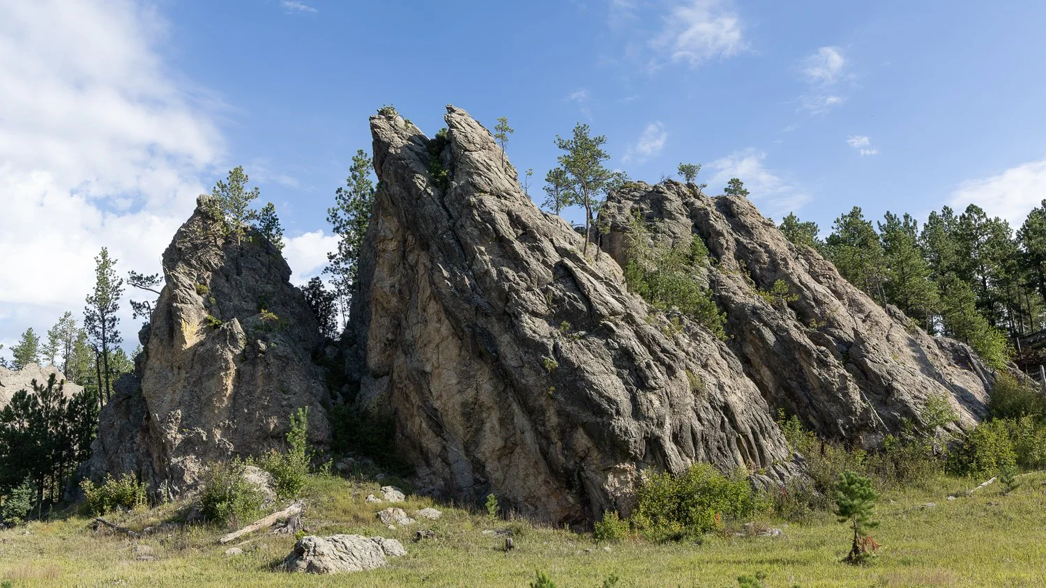 Jagged granite rock formations dotted with small pine trees rise above a grassy meadow under a blue sky with scattered clouds along Needles Highway in Custer State Park, South Dakota.