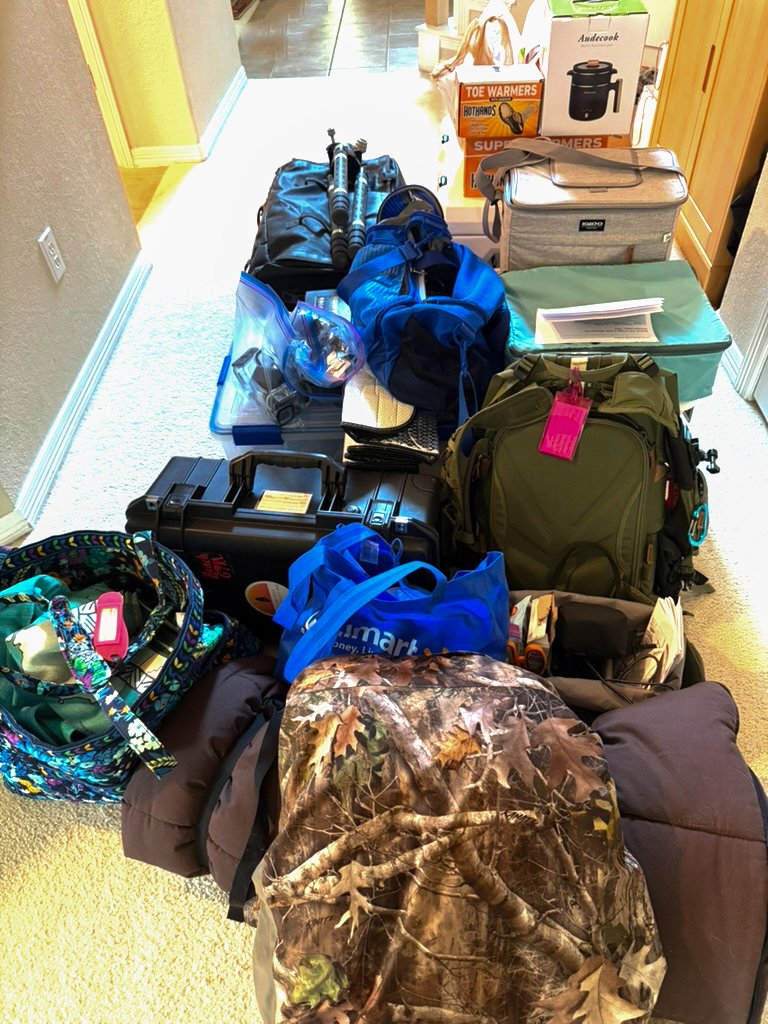 Road trip luggage, camera gear, backpacks, and travel essentials packed and ready for a three-week solo journey.