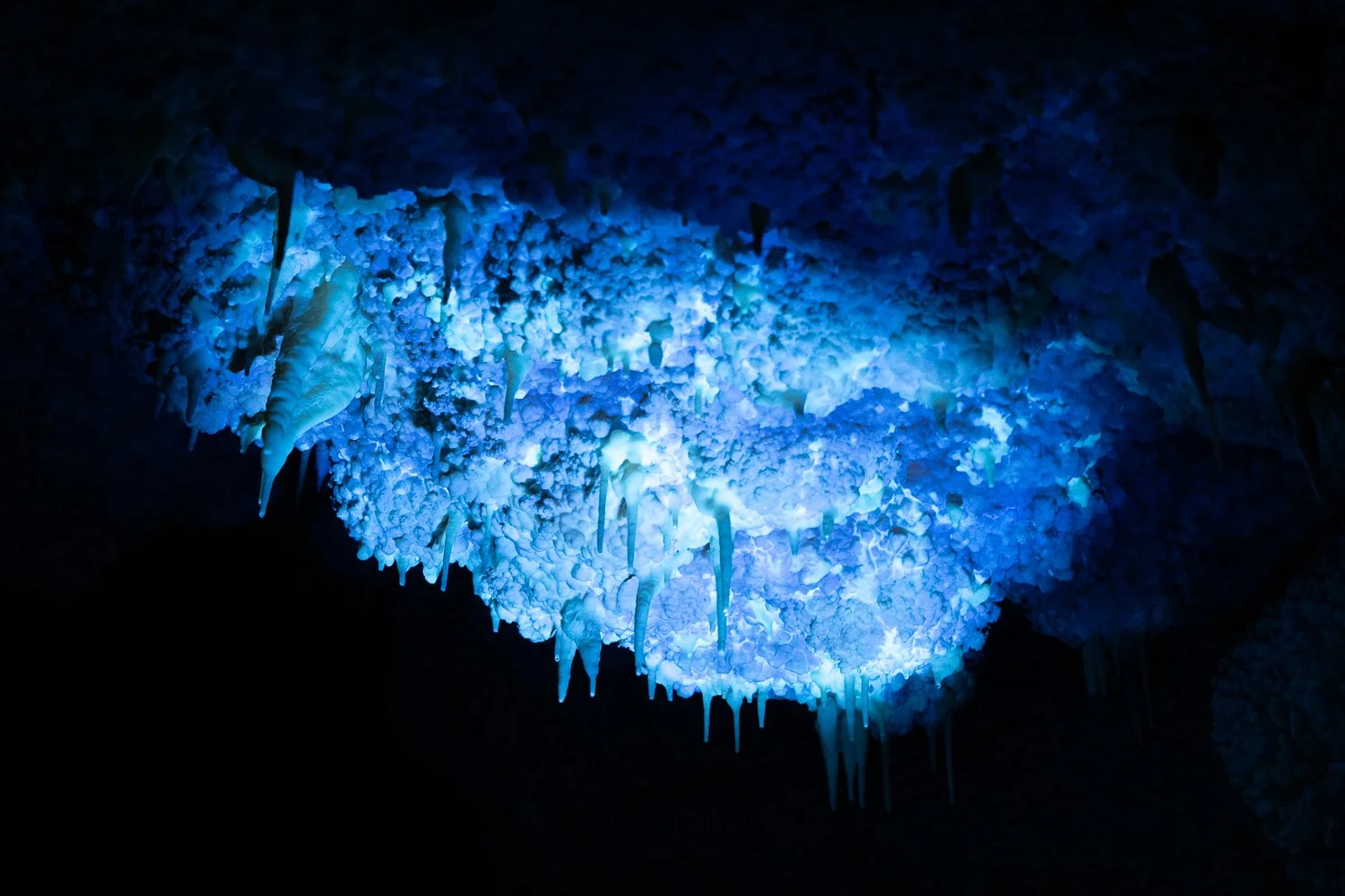 Cave formations glowing blue under a light.