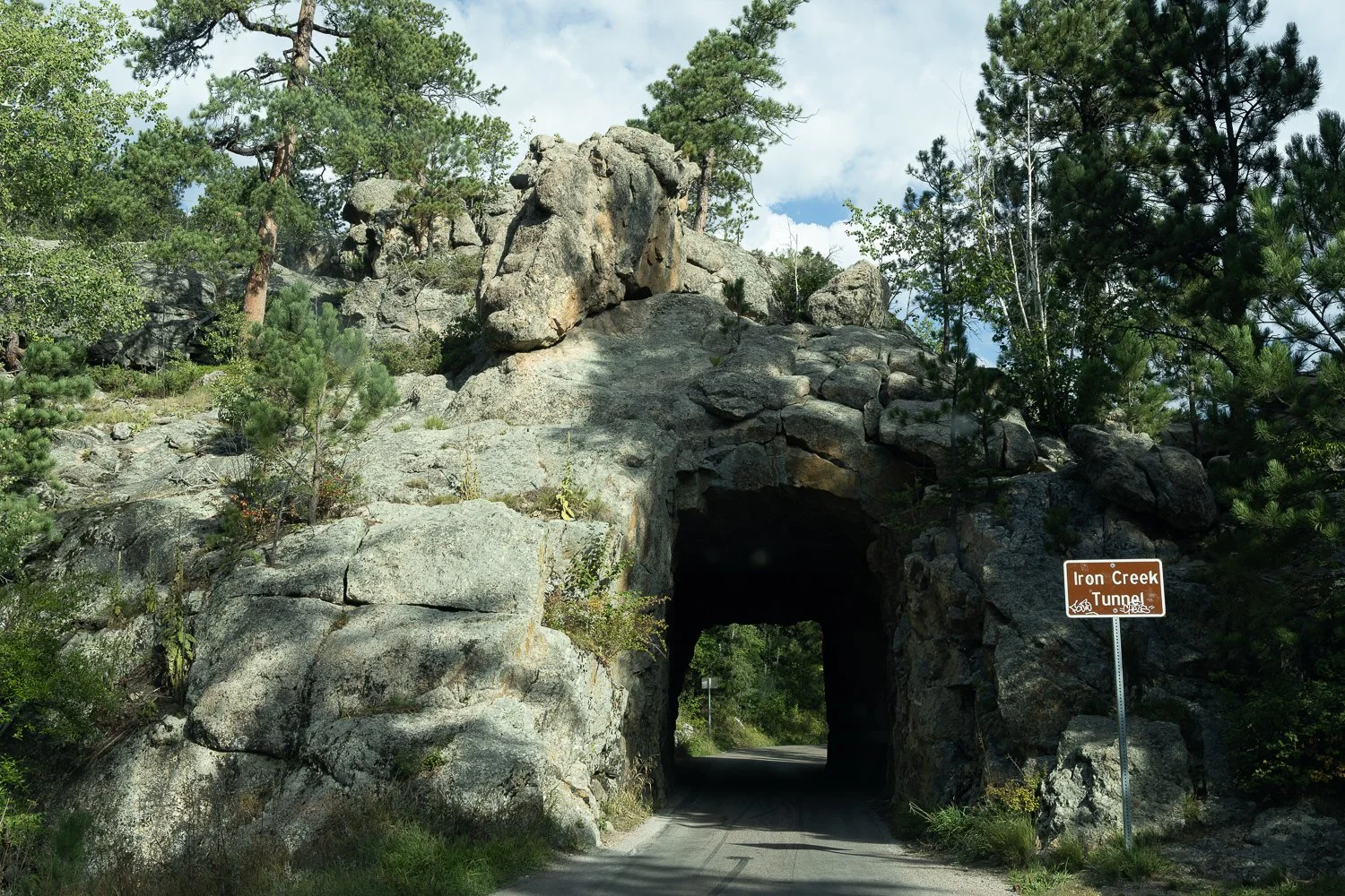 Iron Creek Tunnel along Needles Highway, surrounded by granite rock formations and pine trees.
