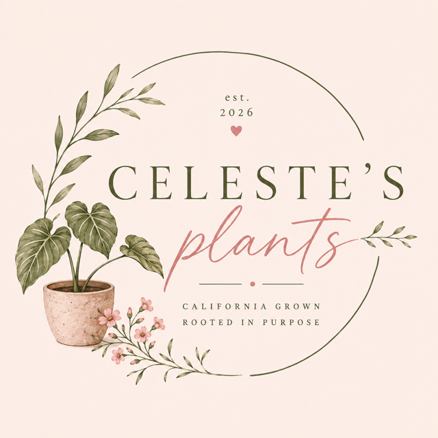 Celeste's Nursery