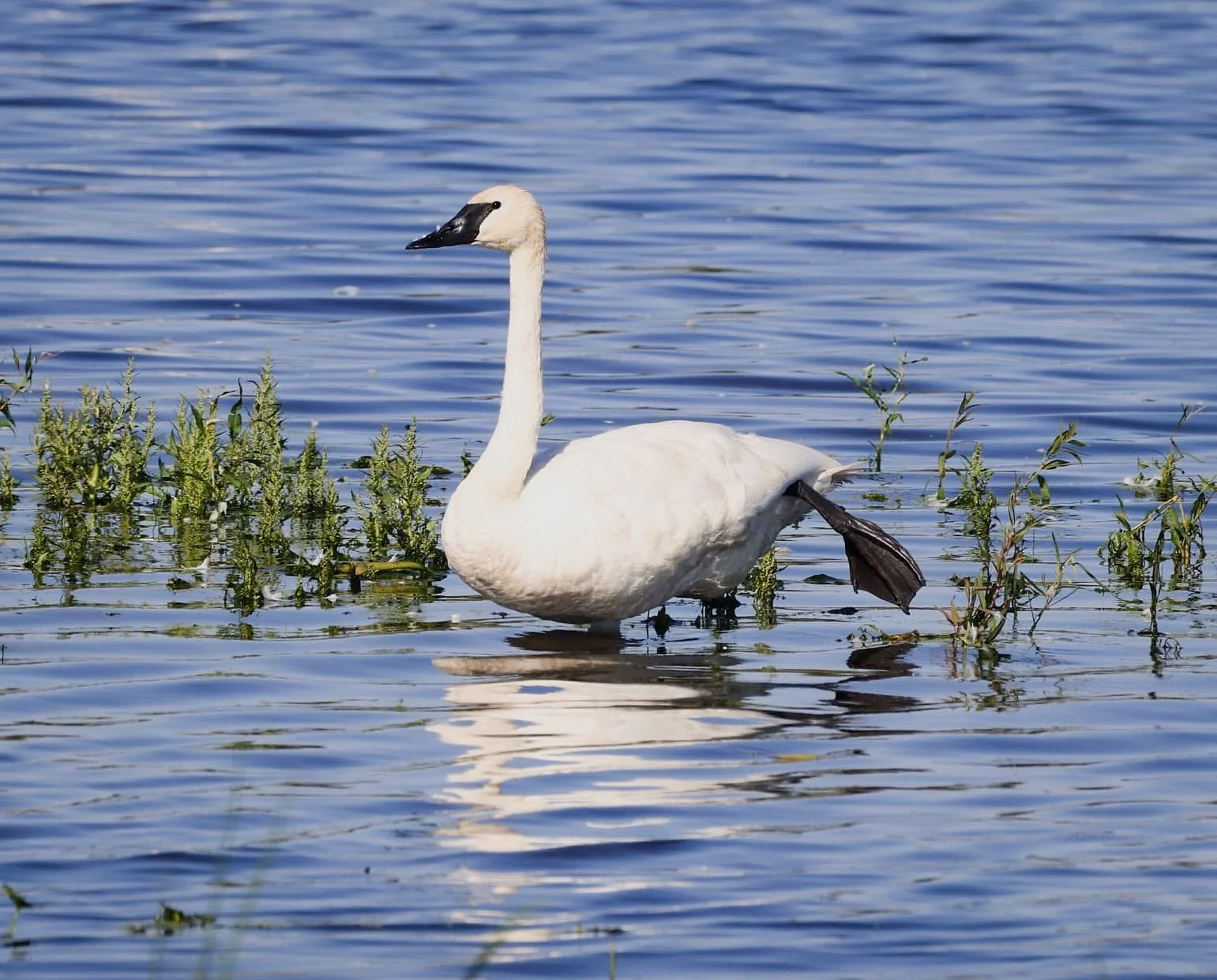 IMG_5485.png