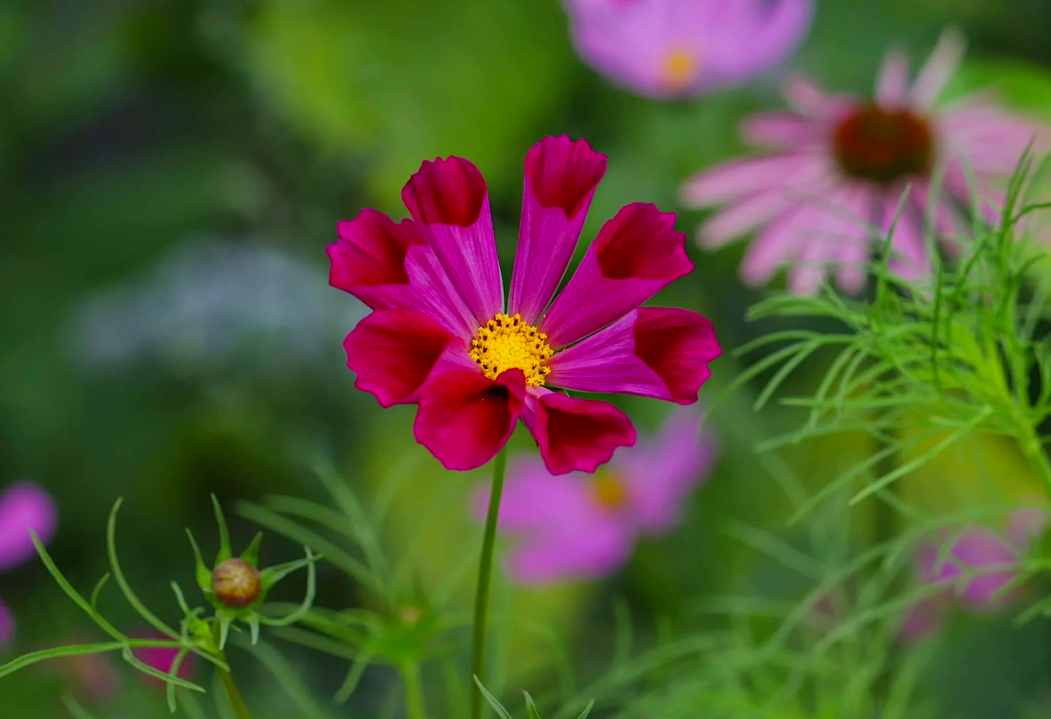 IMG_5450.png