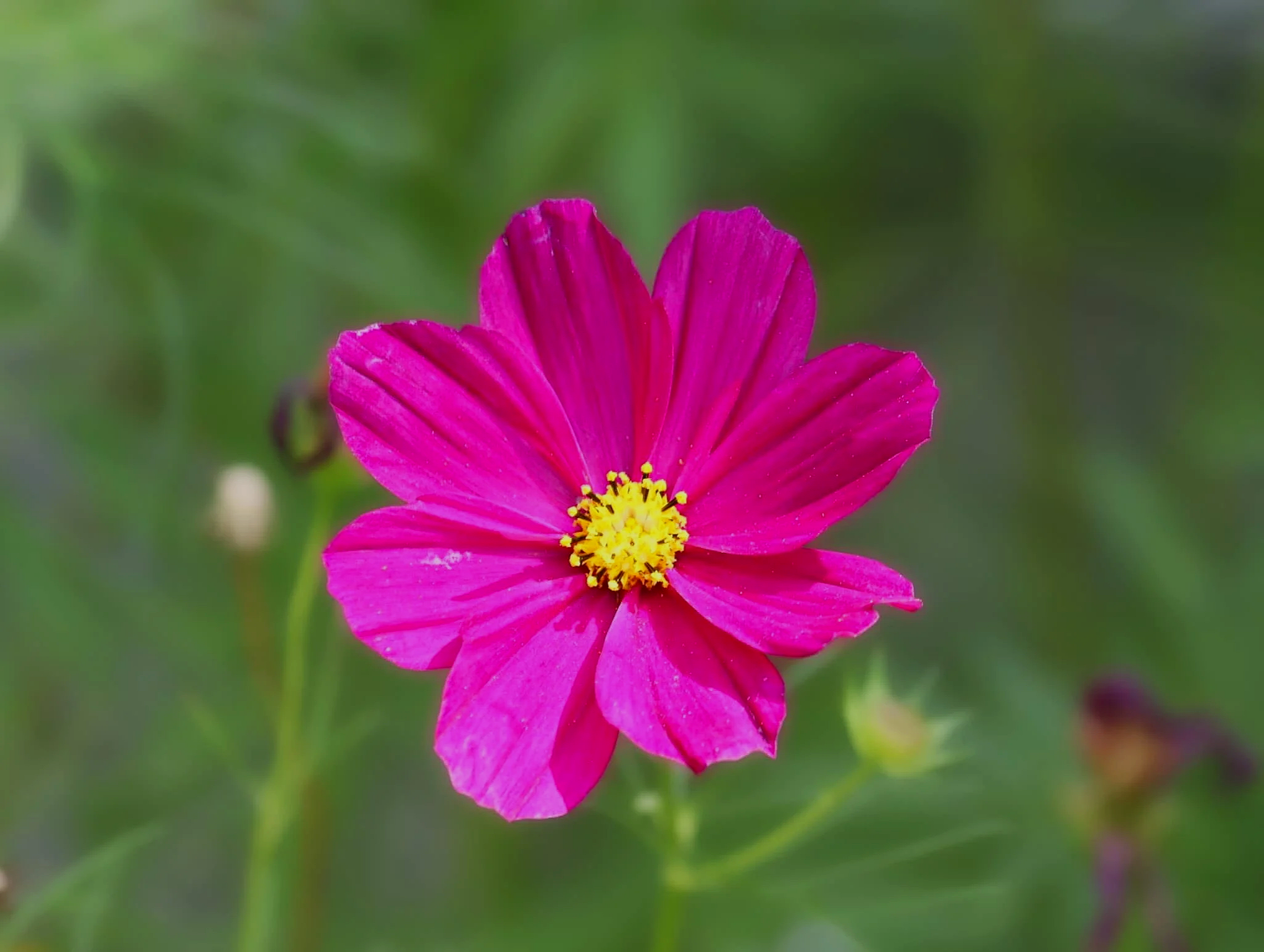 IMG_5420.png