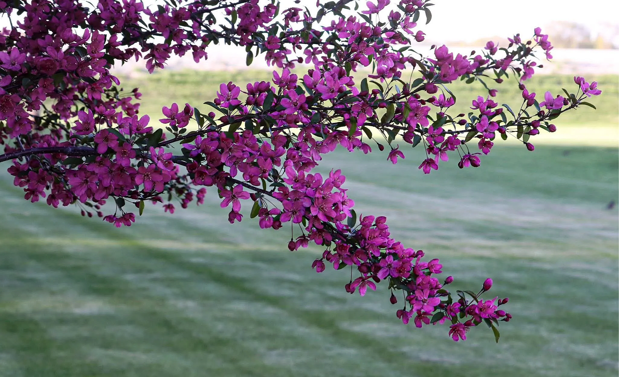 IMG_5408.png