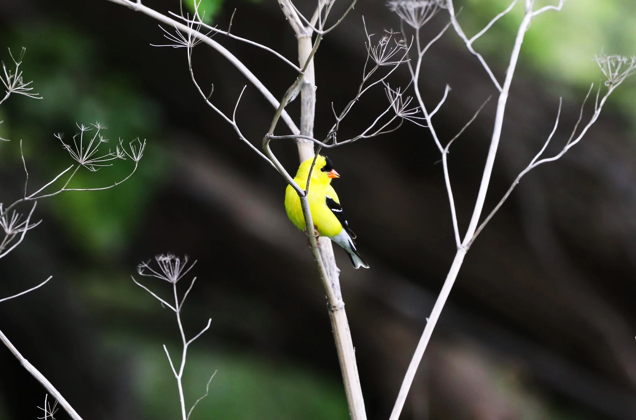 IMG_5396.png