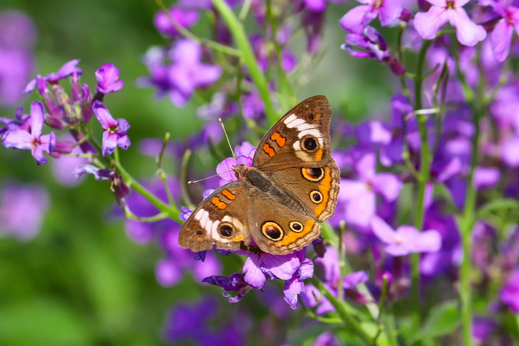IMG_5759.png