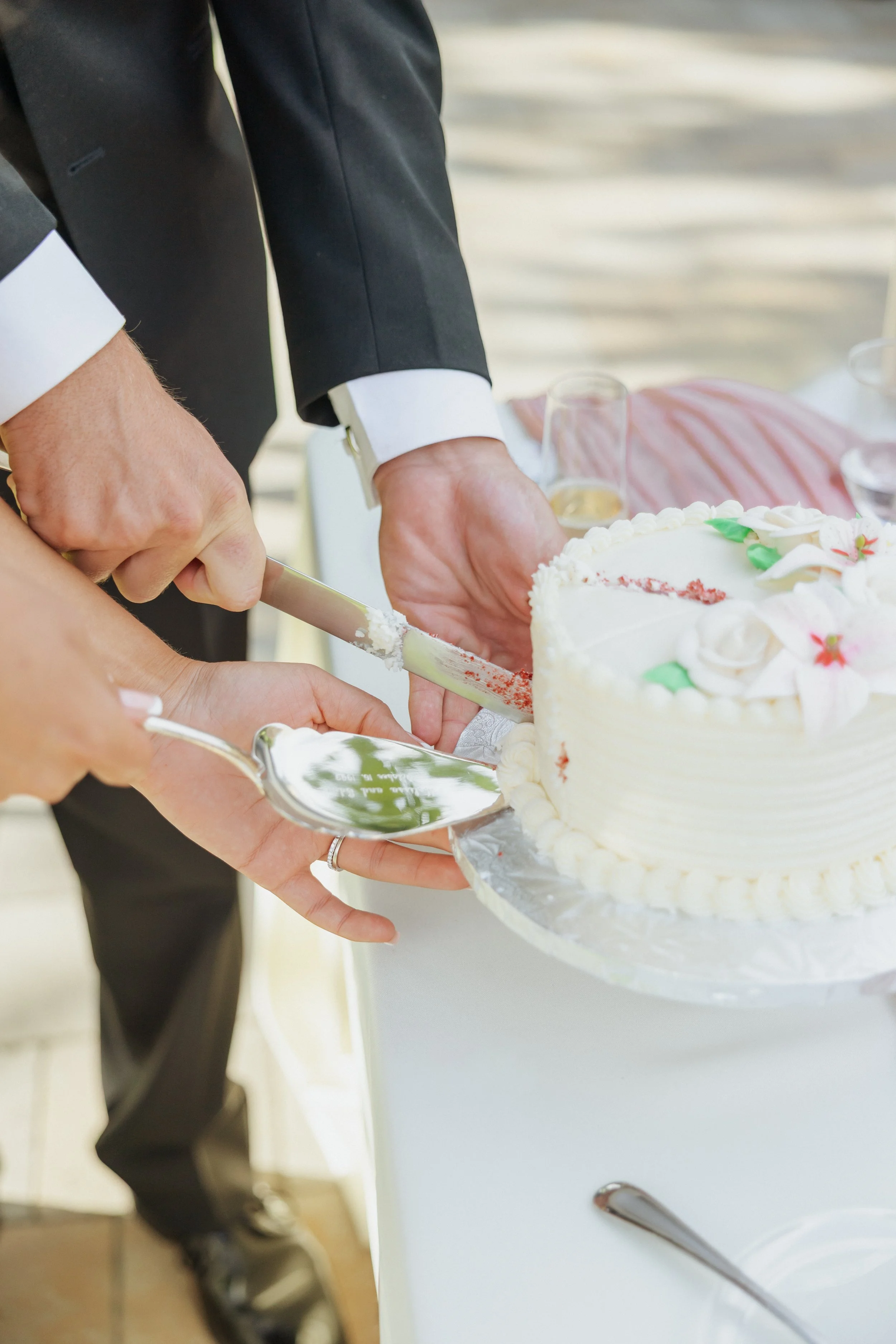 cameron and alana cake cutting