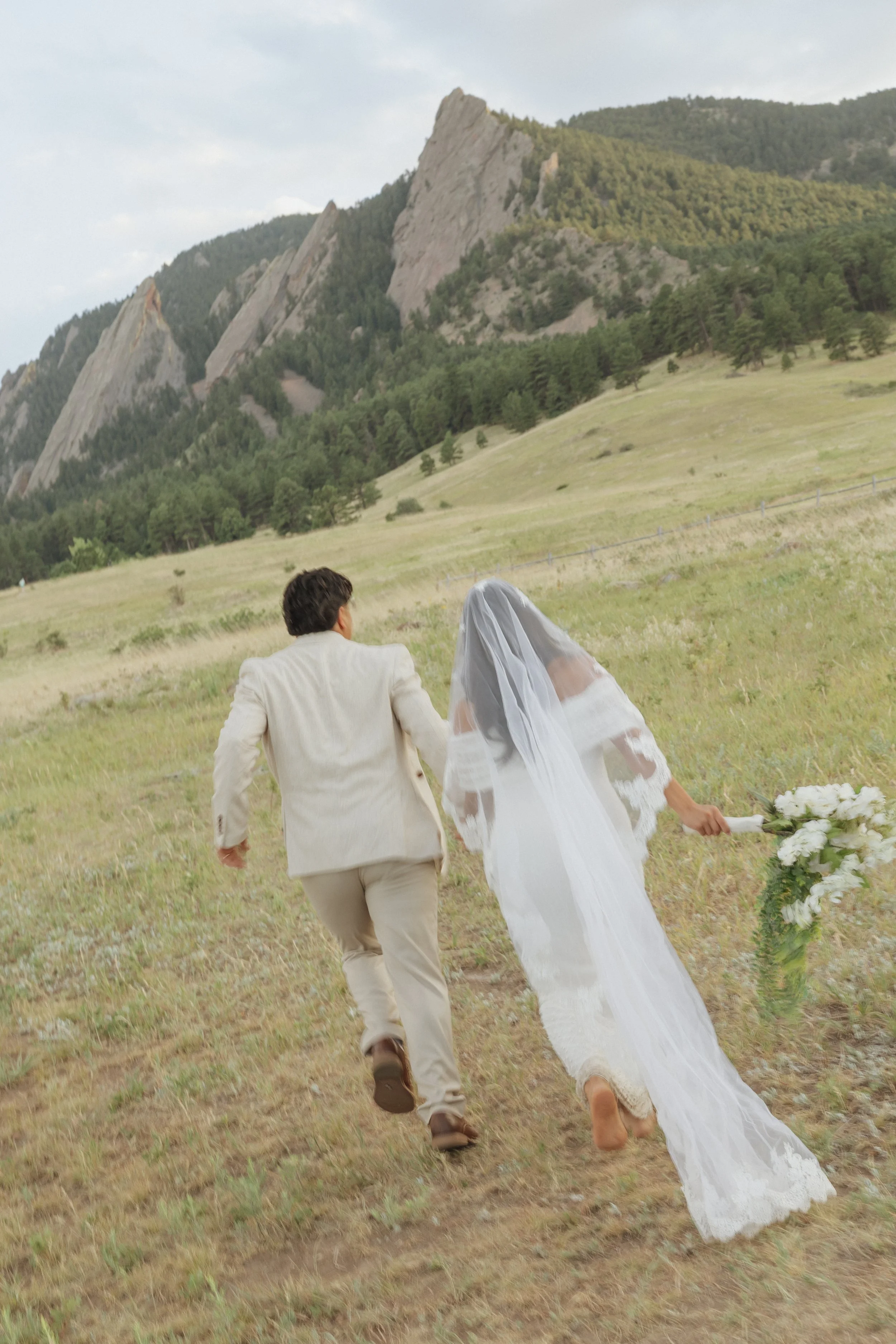 A couple, dressed in wedding attire, walking hand in hand in a field with a mountainous landscape in the background. The man is wearing a light-colored suit and the woman is in a white lace wedding dress with a veil, holding a bouquet of white flower