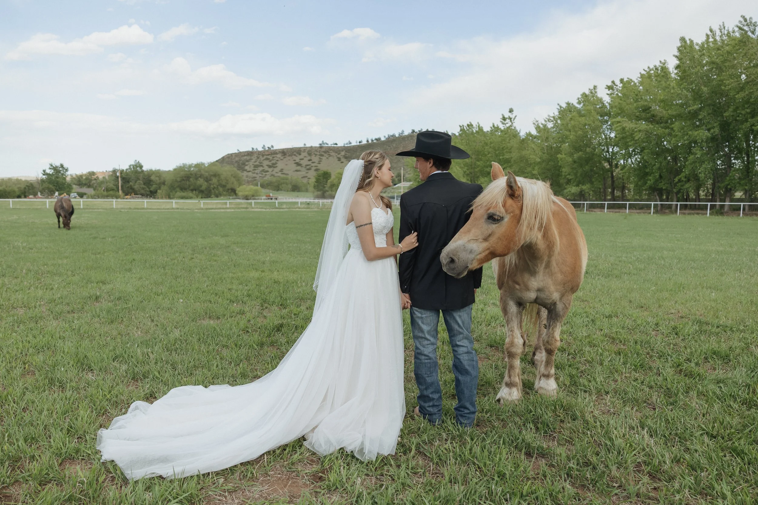 A bride and groom stand next to a palomino horse in an open field. The bride is in a white wedding dress with a long train, and the groom is wearing a black cowboy hat and jacket. They are facing each other with their foreheads touching, with a black