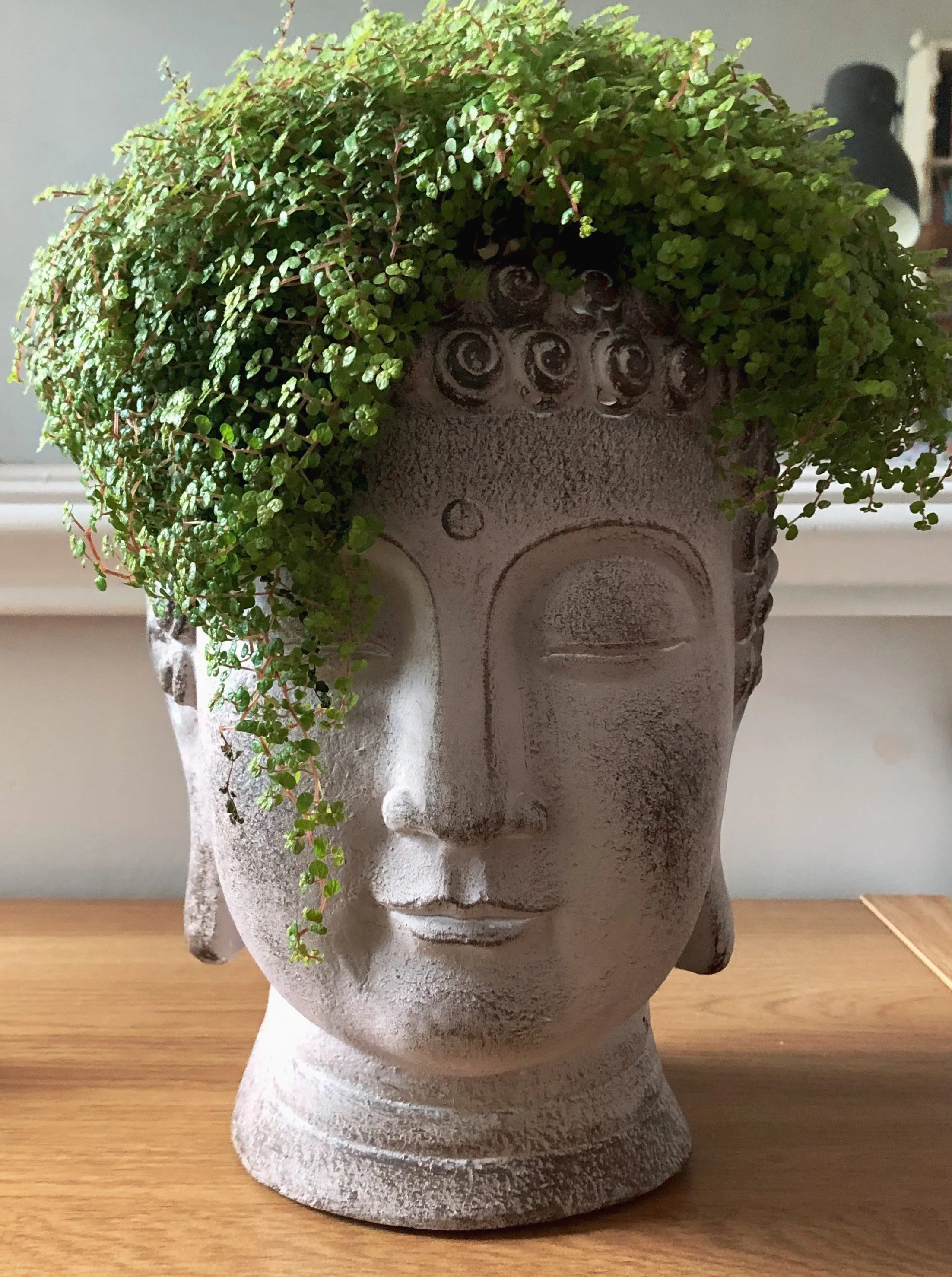 Serene Buddha statue symbolizing mindfulness, meditation, and inner peace in therapy and healing practices.