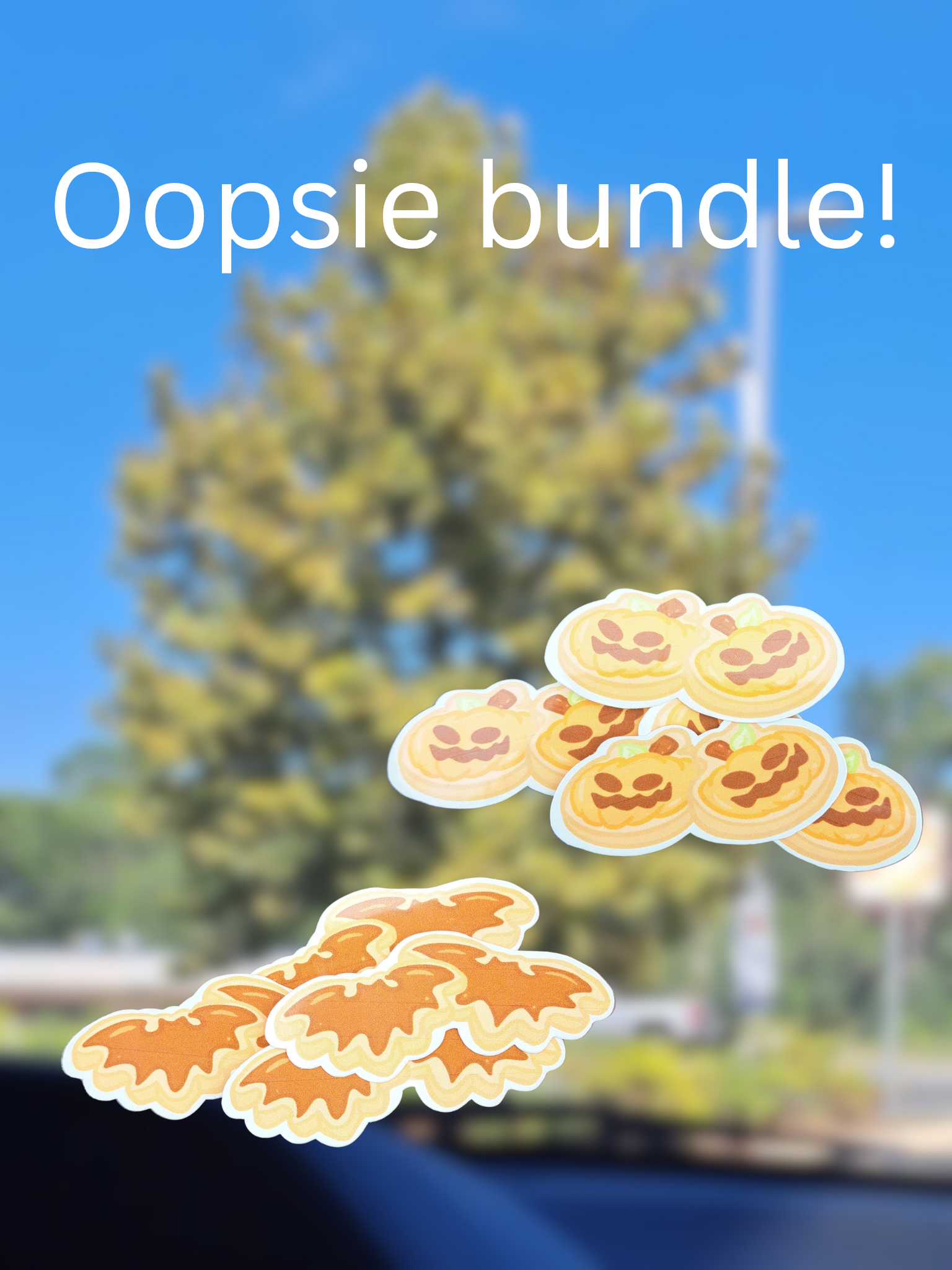 Oopsie Bag Bundle