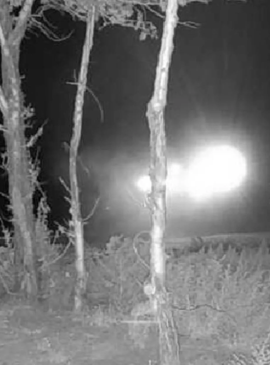 A photo captured at 4:45AM on a trail cam in the Uintah Basin where anomalous self emitting lights showed up and triggered the camera.