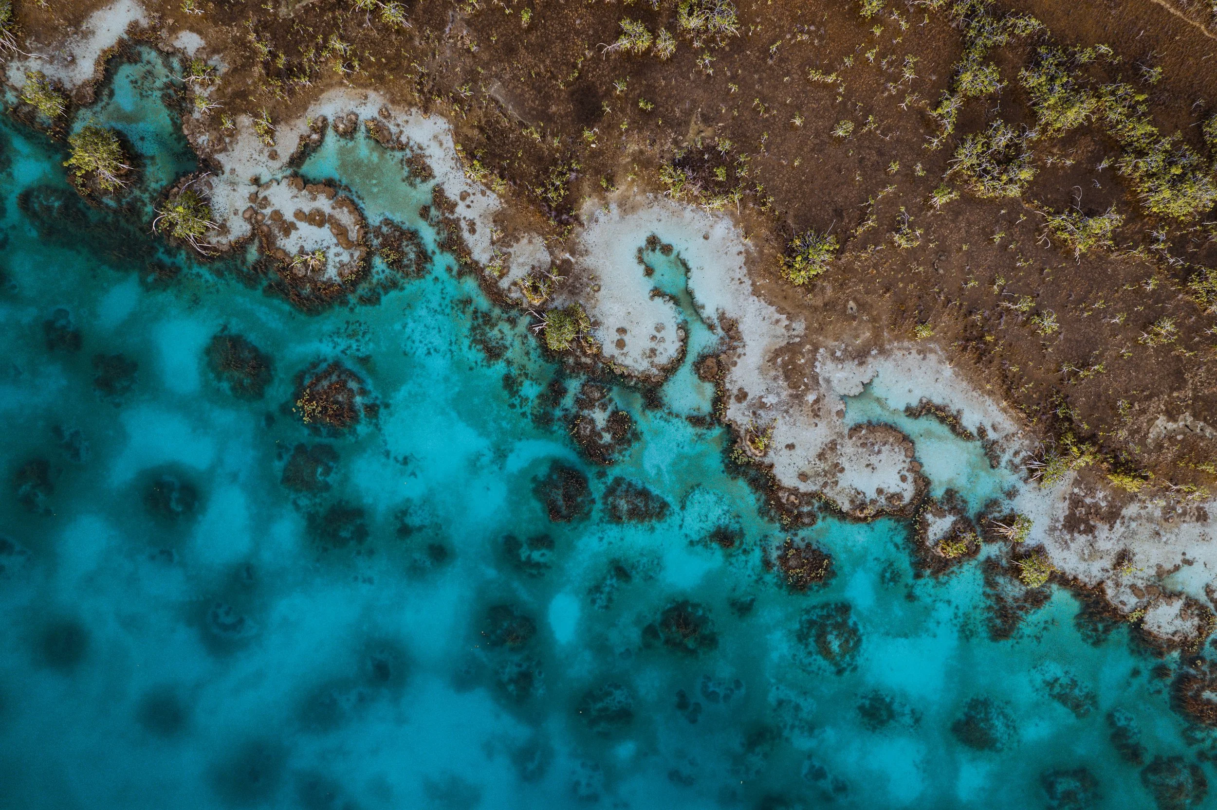 DJI_0105.jpg
