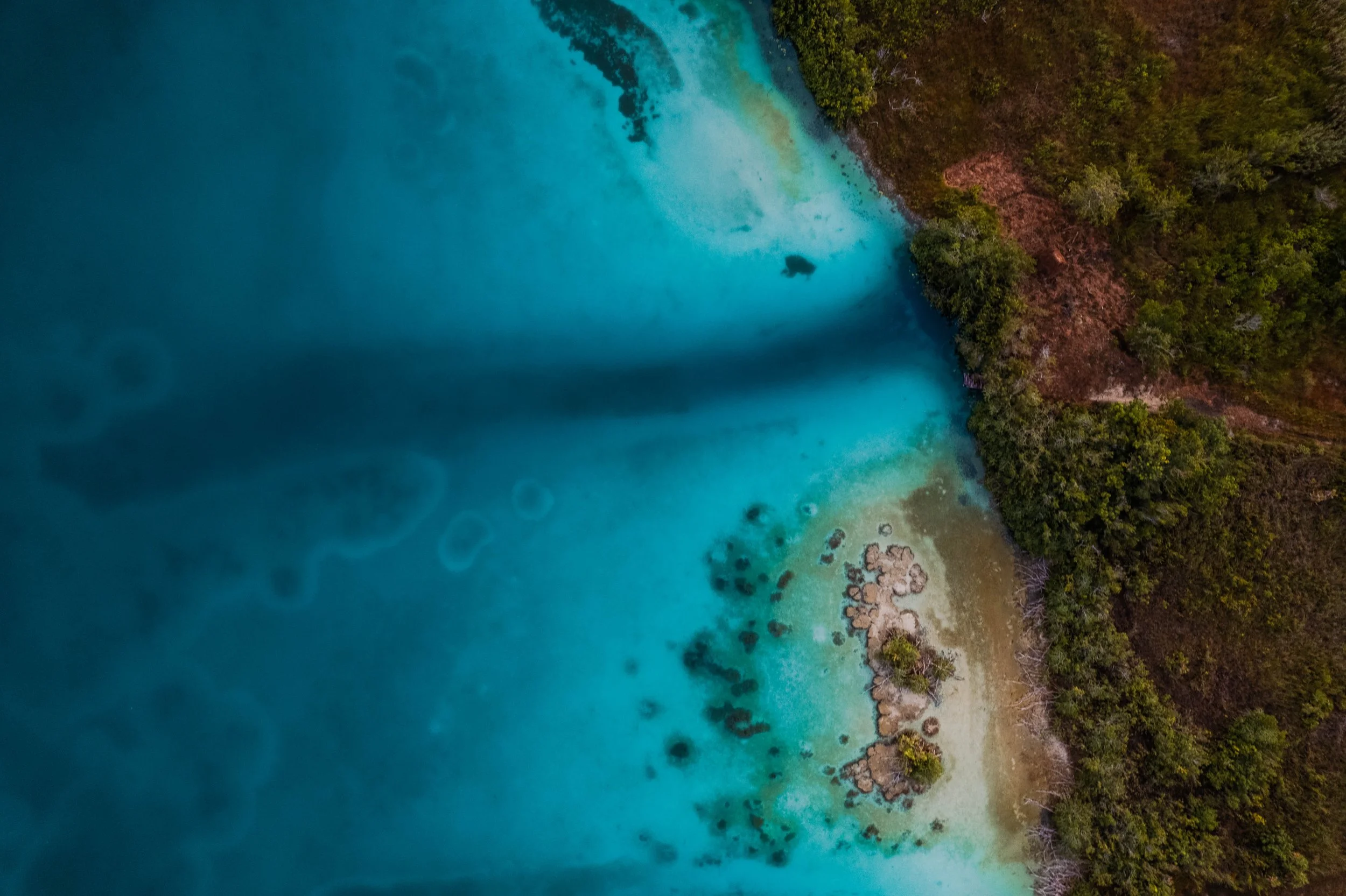 DJI_0131.jpg