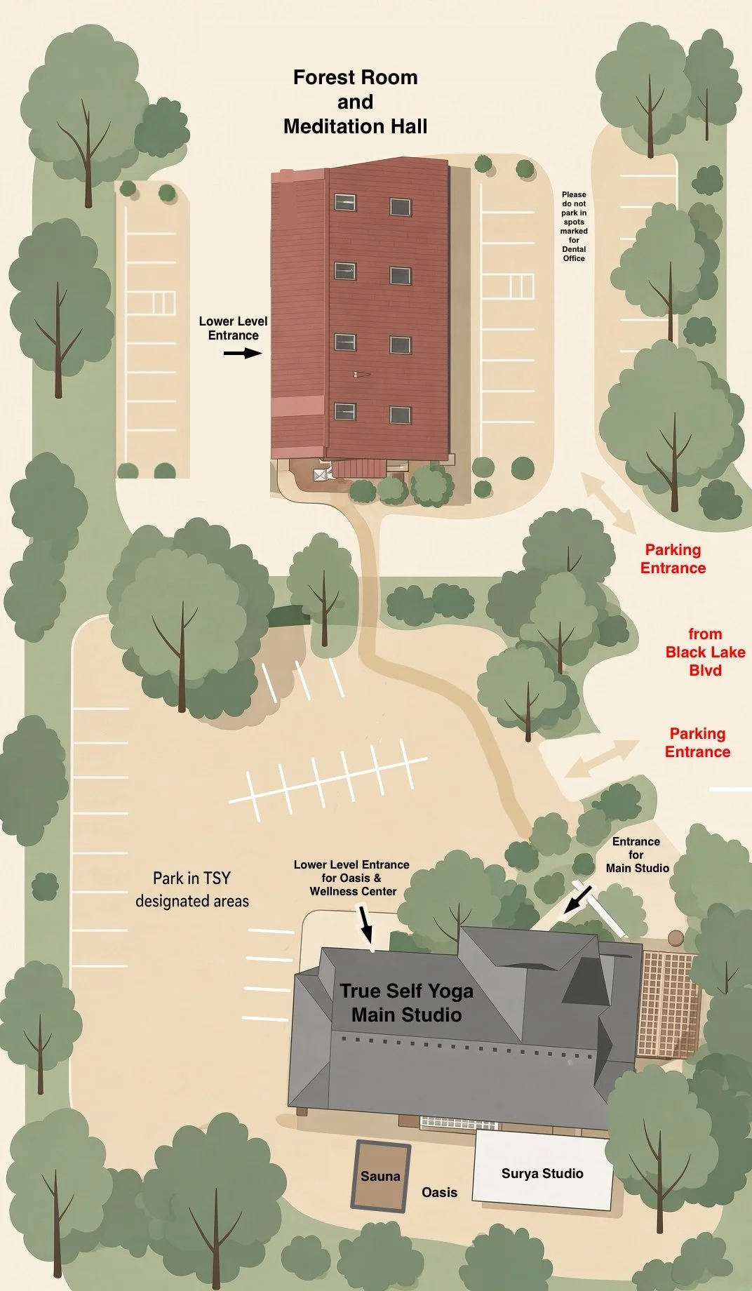 Map of a facility with parking areas, trees, and buildings labeled 'True Self Yoga Main Studio,' 'Surya Studio,' 'Oasis,' 'Sauna,' and 'Meditation Hall.' Includes labeled entrances: 'Lower Level Entrance for Oasis & Wellness Center,' 'Entrance for Main Studio,' 'Lower Level Entrance,' and parking instructions from Black Lake Blvd.