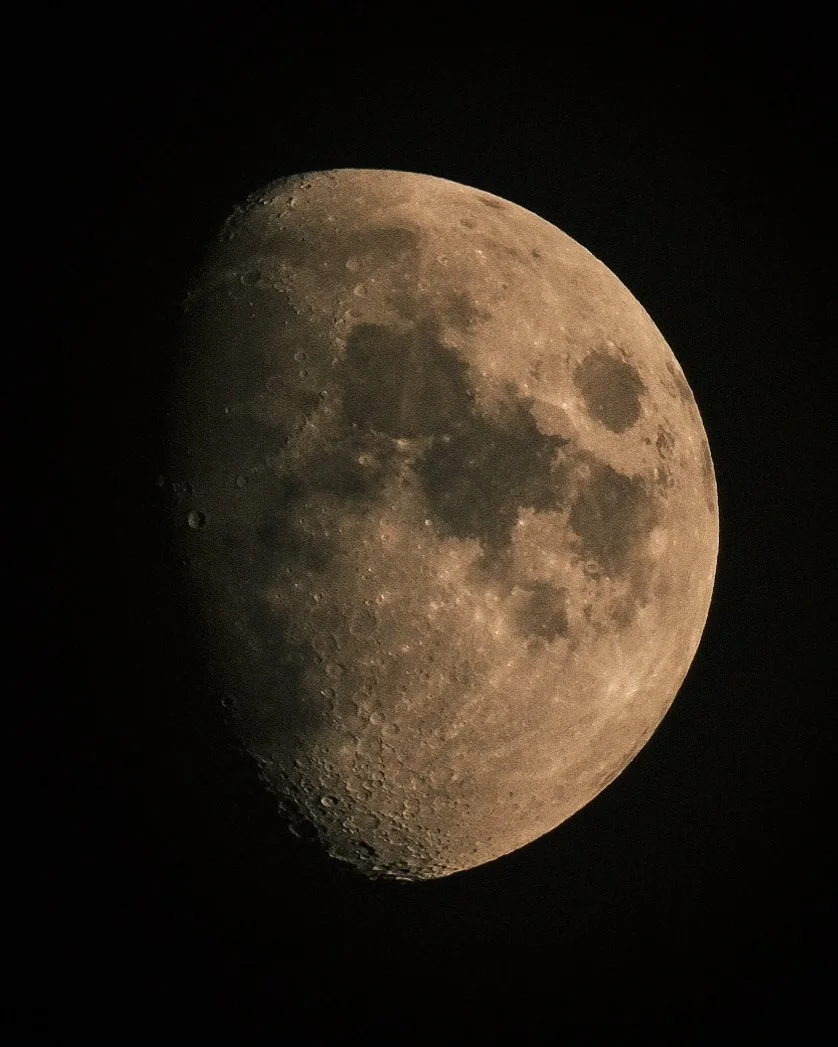 _DSF3870.JPG