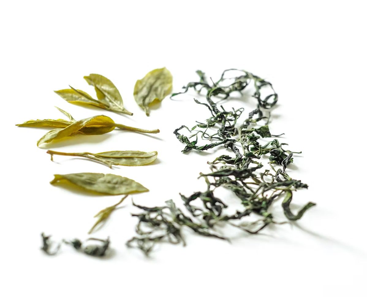 Deerland Tea - 溪 Khe. 2025 Spring PiLoChun Green Tea