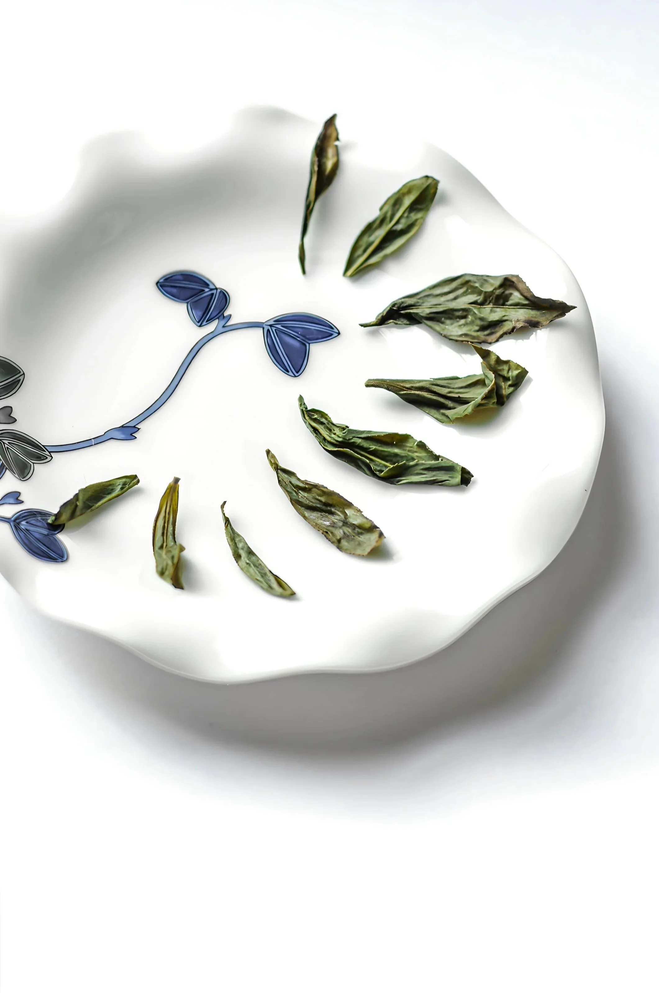 Assiette blanche avec des feuilles de thé séchées.