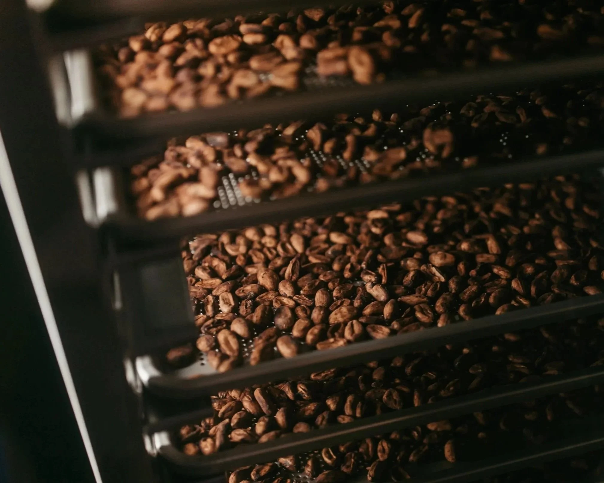Fèves de cacao torréfiés.