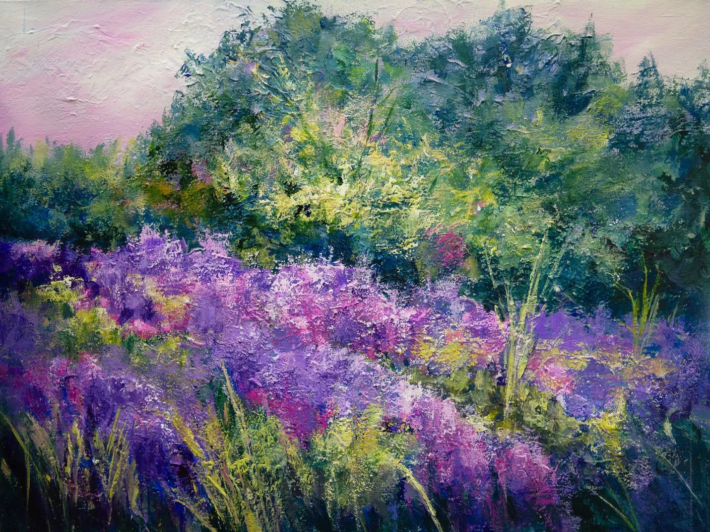 Lavender Fields 24 × 16"