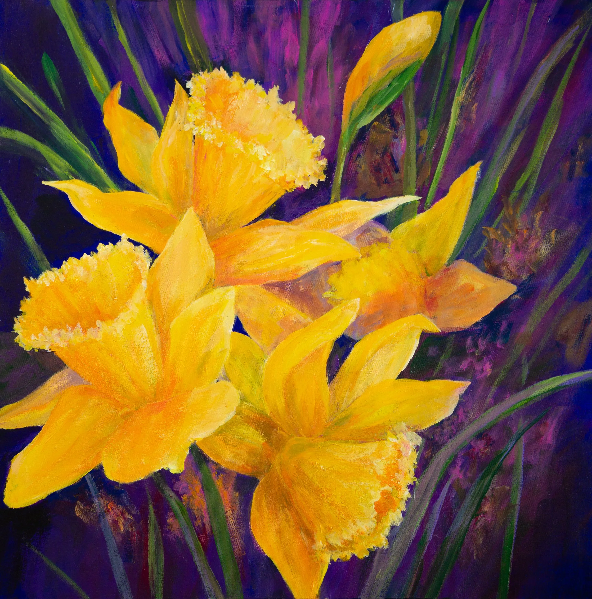 Daffodils 24 × 24"