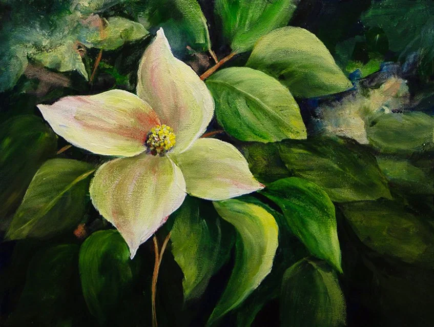 Dogwood 18 × 14"